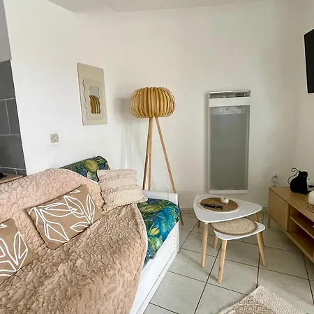 3 Pieces Avec Piscine Proche De La - Fr-1-748-31 Apartment *